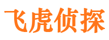 台江市侦探调查公司